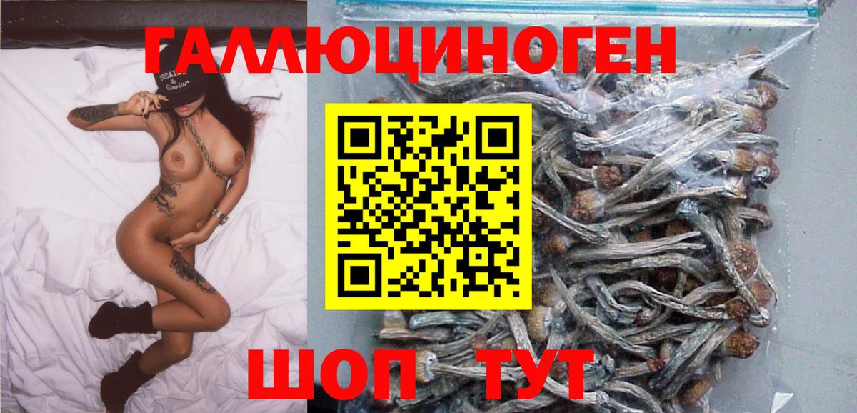Галлюциногенные грибы мицелий  Галлюциногенные грибы Psilocybine cubensis  как найти закладки  Вход с VPN  Йошкар-Ола 